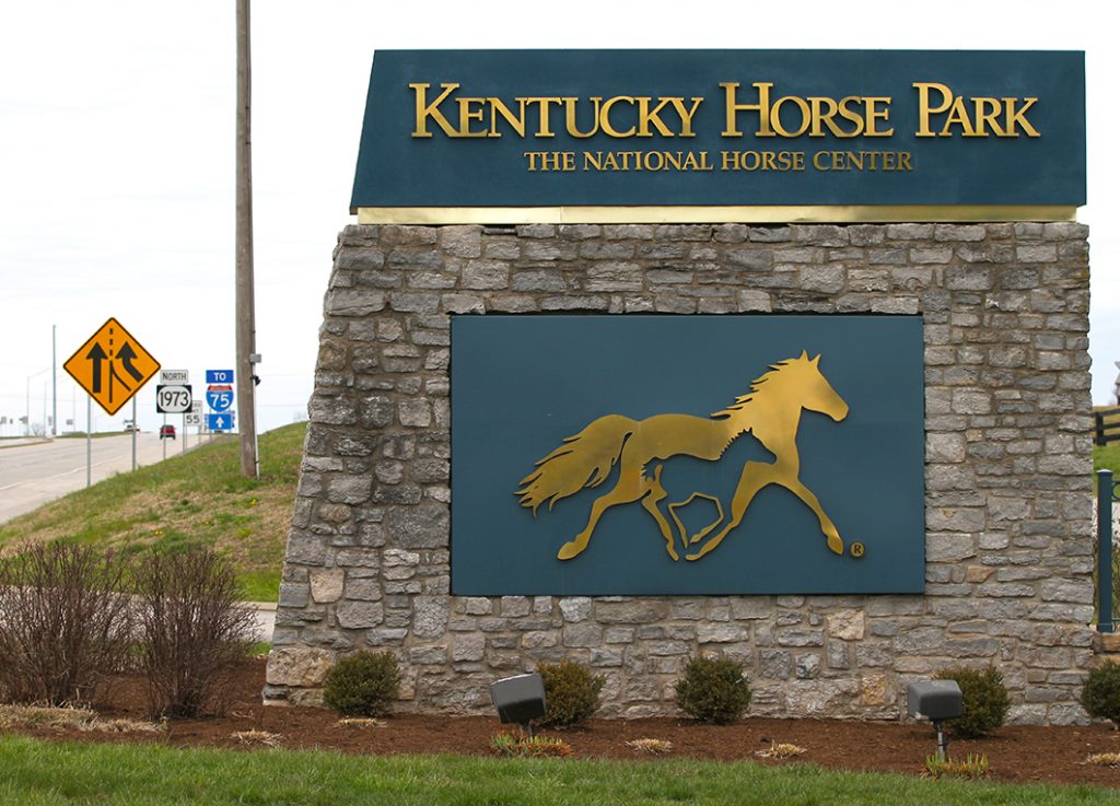 kentucky horses