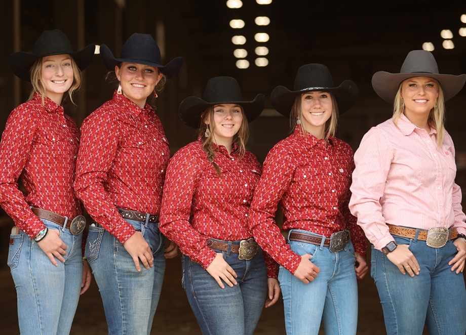 Collegiate Teams Shine at the Idaho Horse Expo Colt Starting Challenge