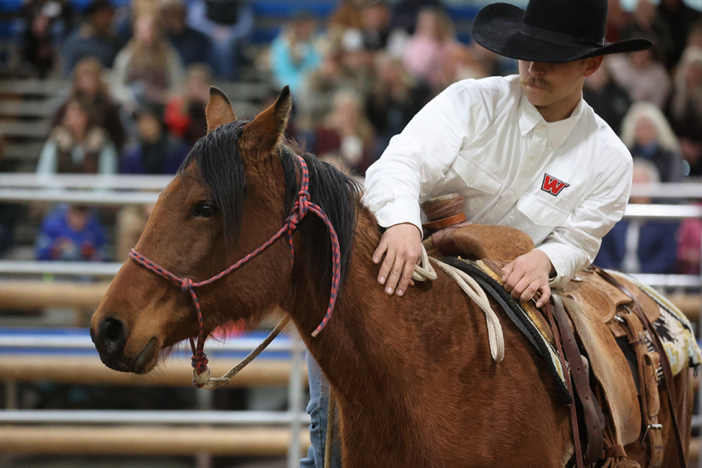 University of Montana Western takes the Collegiate Colt Starting title
